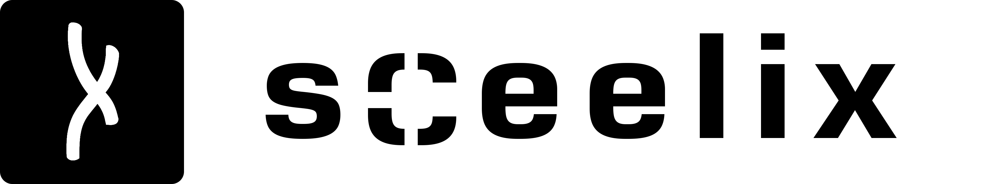 inRes 2015 sCeelix logo