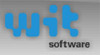Wit Software